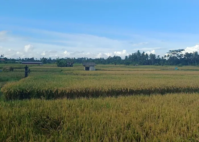 Séjour chez l'habitant Karuna Ubud