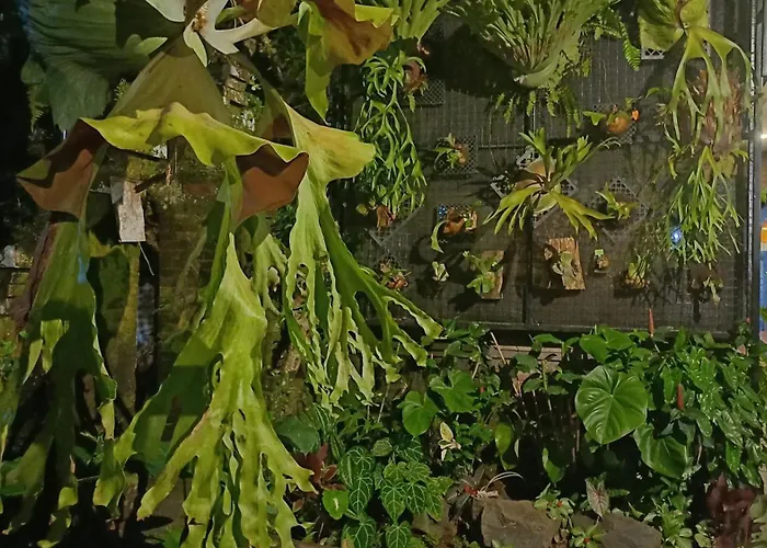 Karuna Séjour chez l'habitant Ubud